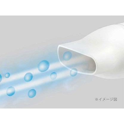 Negative Ion Hair Dryer VSD1242KJ