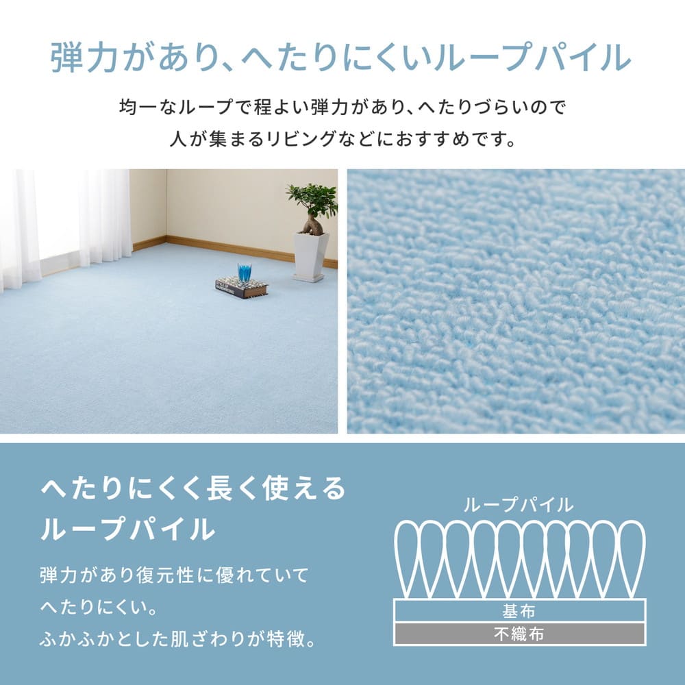 Loop Pile Flat Woven Carpet Miete 4.5-Tatami Mat Blue