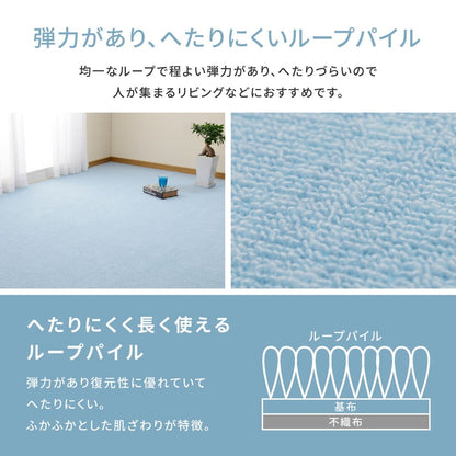Loop Pile Flat Woven Carpet Miete 10-Tatami Mat Blue