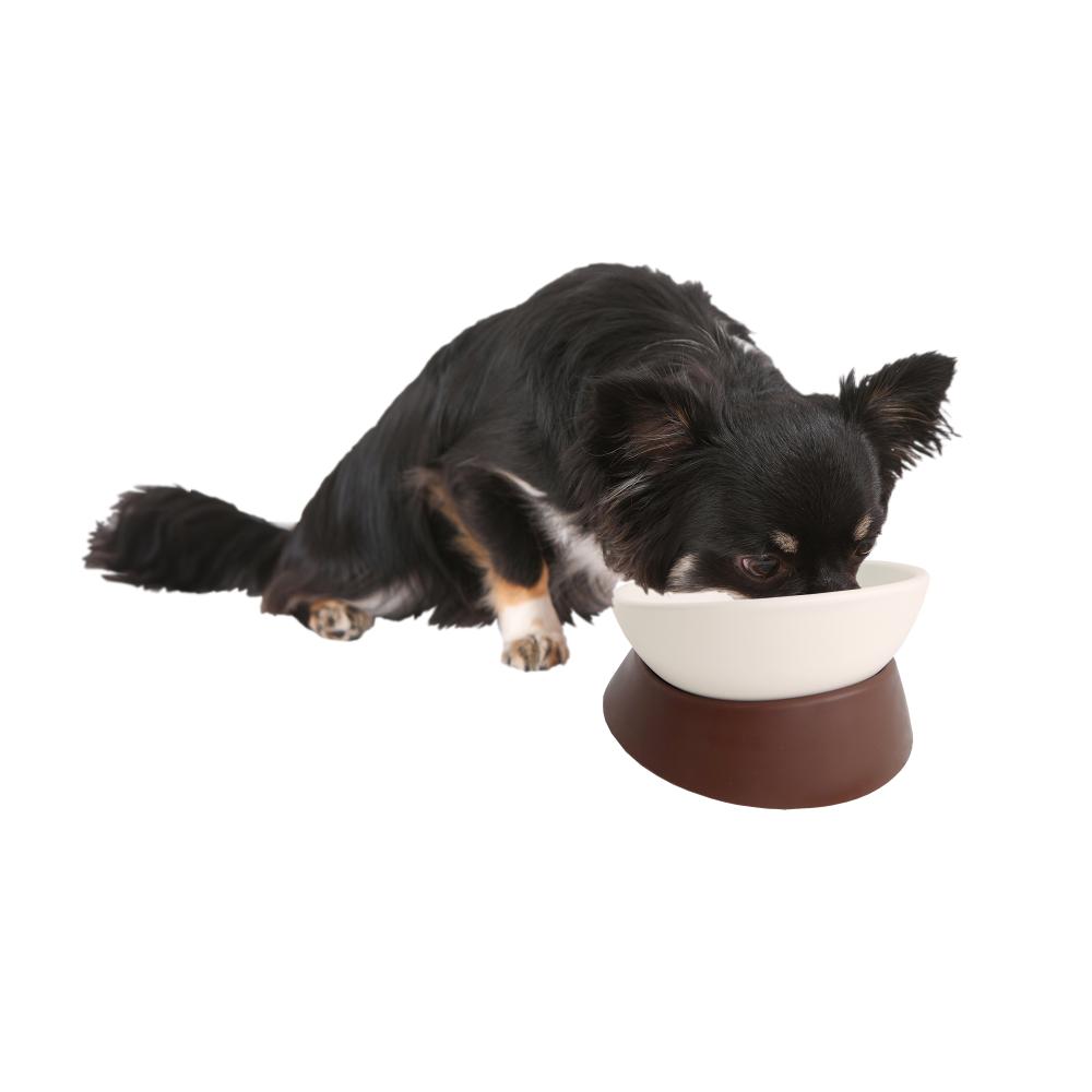 Free Free Dish Mocha