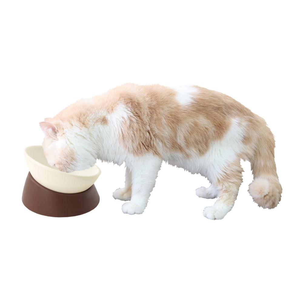 Free Free Dish Mocha