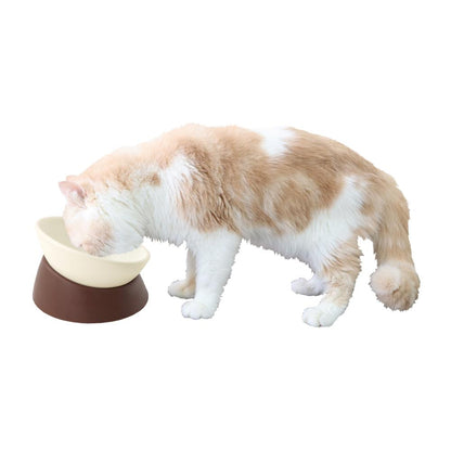 Free Free Dish Mocha