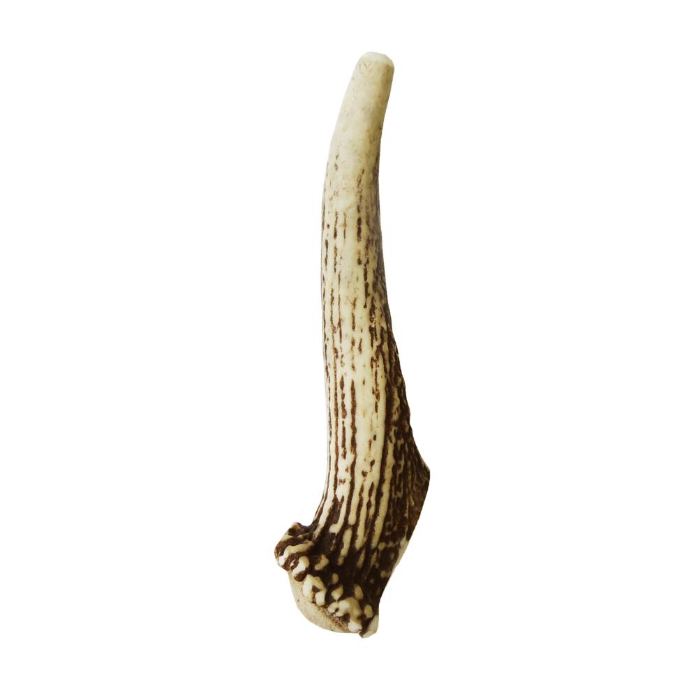 Venison Antler M