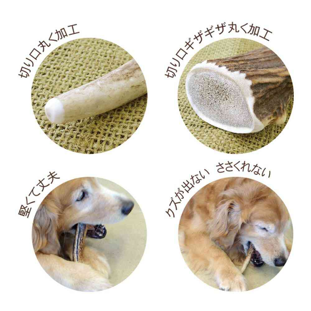 Venison Antler M