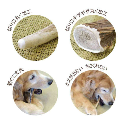 Venison Antler M