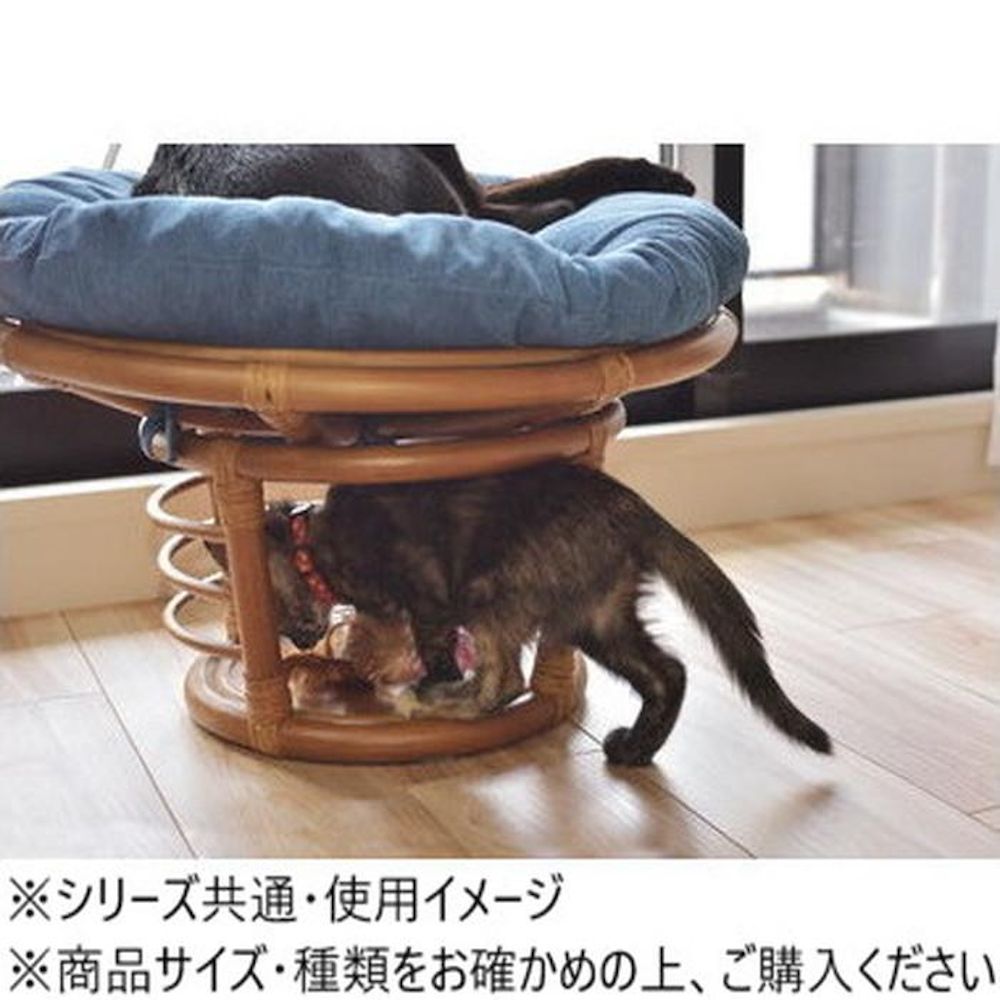 Azumaya Pet Stool PET-64
