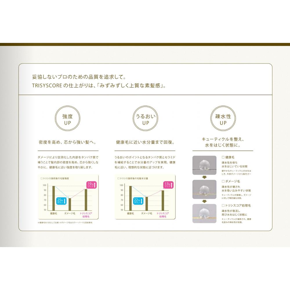 Number Three Trisys Core CE Plus Hair Treatment 12g x 4 Packs