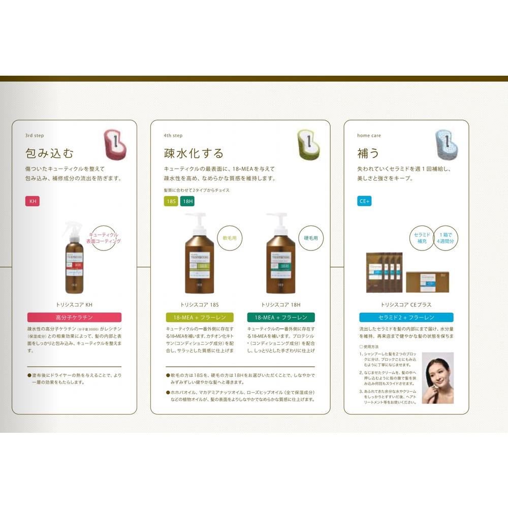 Number Three Trisys Core CE Plus Hair Treatment 12g x 4 Packs