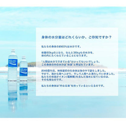 Otsuka Pharmaceutical Pocari Sweat Ion Water 900ml