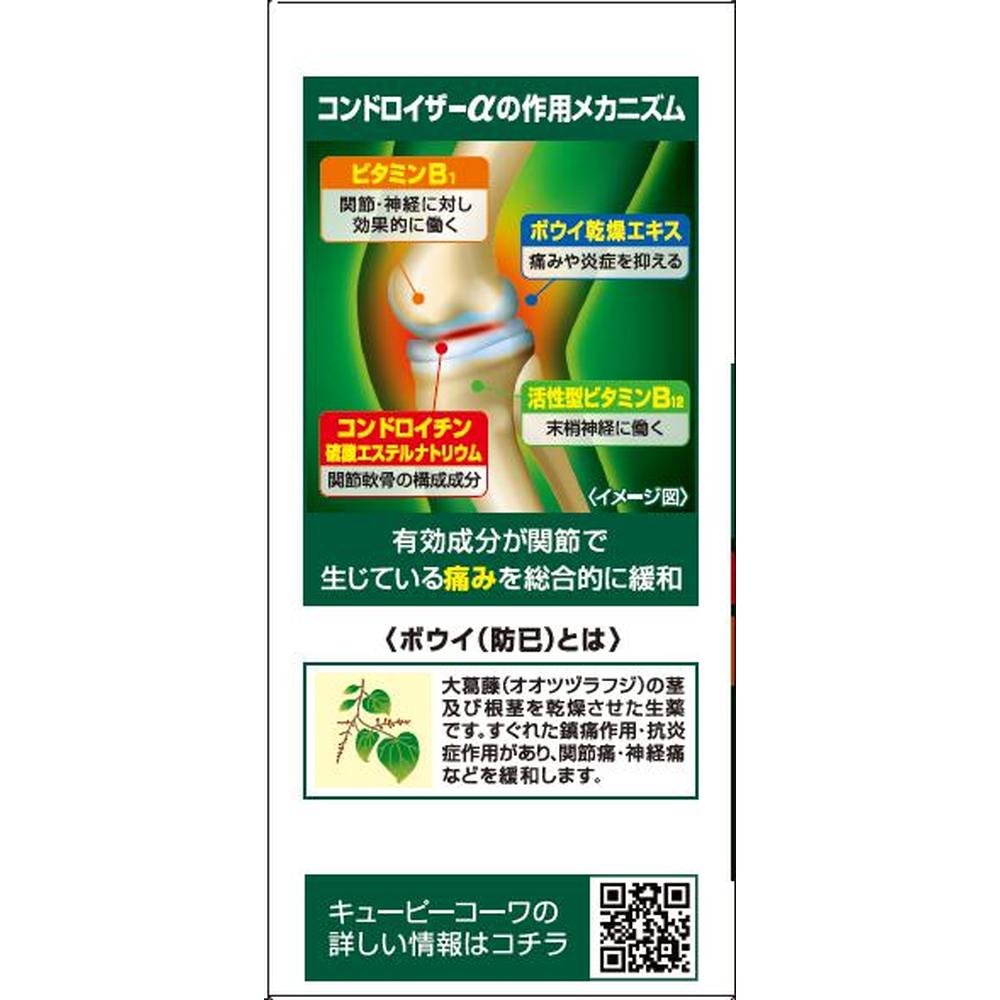 Kowa QP Kowa Chondroitin Alpha 90 Tablets