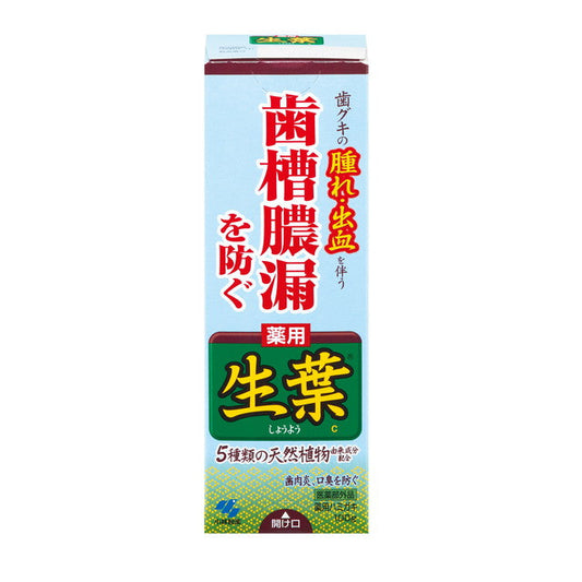 [Quasi-Drug] Kobayashi Pharmaceutical Medicinal Toothpaste Namiyu 100g