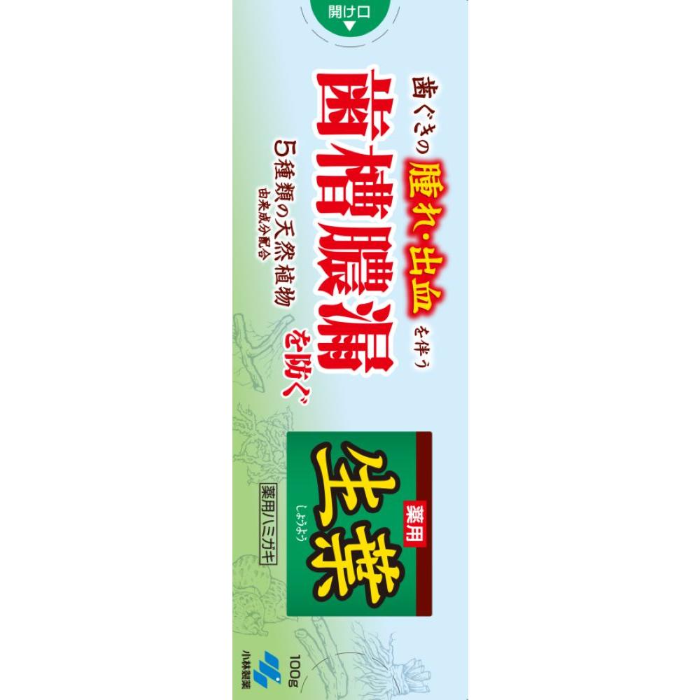 [Quasi-Drug] Kobayashi Pharmaceutical Medicinal Toothpaste Namiyu 100g