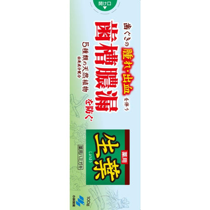 [Quasi-Drug] Kobayashi Pharmaceutical Medicinal Toothpaste Namiyu 100g