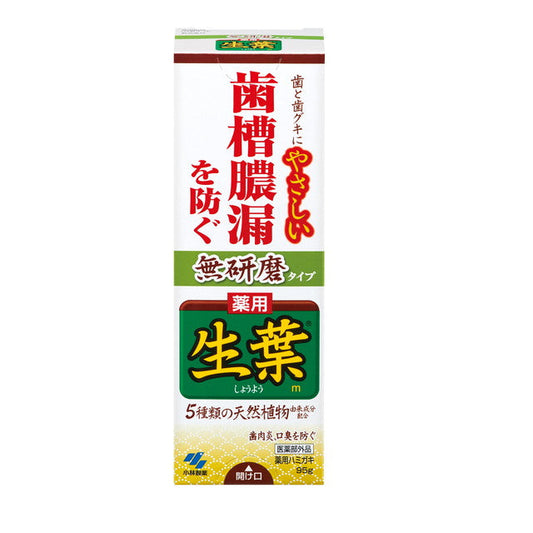 Medicinal Kobayashi Pharmaceutical Namaha Non-Abrasive Type 95g