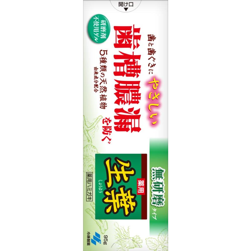 Medicinal Kobayashi Pharmaceutical Namaha Non-Abrasive Type 95g