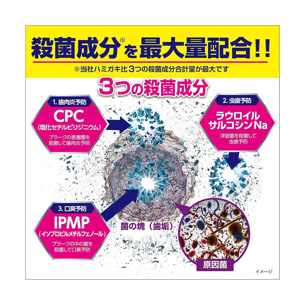 [Quasi-drug] Kobayashi Pharmaceutical Zero Oral Mild Mint 90g