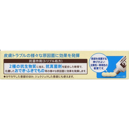 Chromaine N Ointment 6g