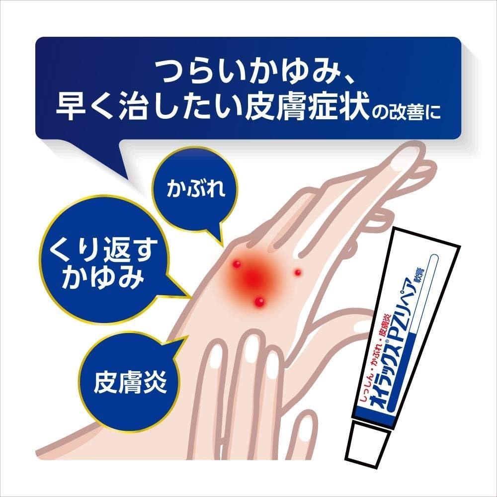 Oirax PZ Repair Ointment 10g