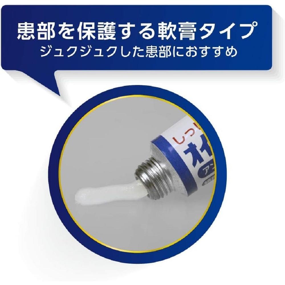 Oirax PZ Repair Ointment 10g