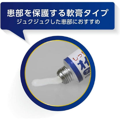 Oirax PZ Repair Ointment 10g
