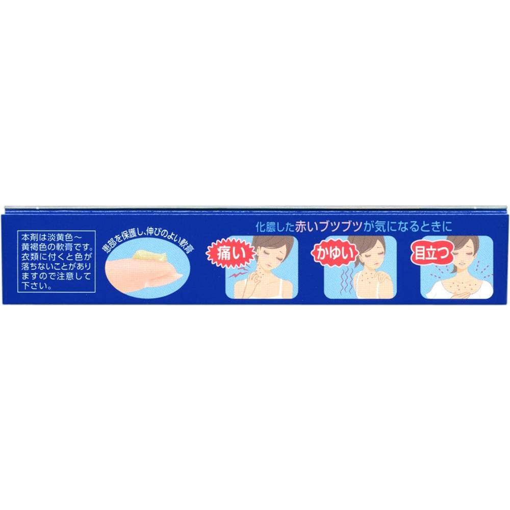 Chroma N Ointment 12g