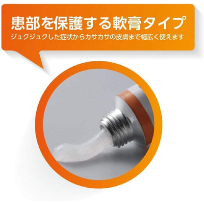 Oirax DX Ointment 16g