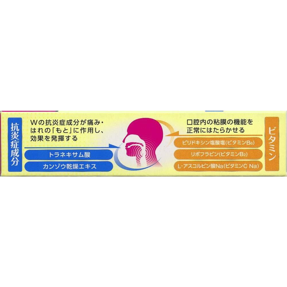 Daiichi Sankyo Healthcare Pelac T Tablets 54 Tablets