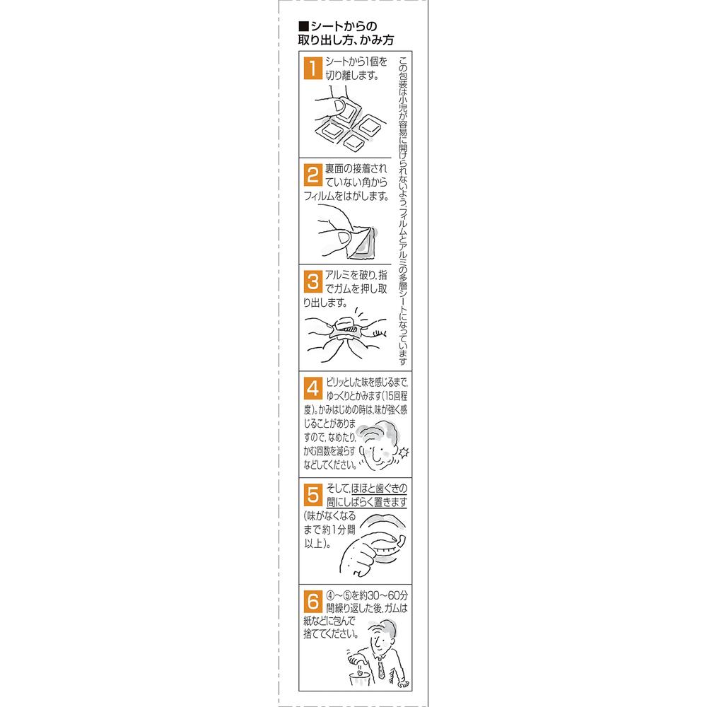 Nicorette Fruity Mint 12 Pieces (Designated Second-Class Pharmaceutical)
