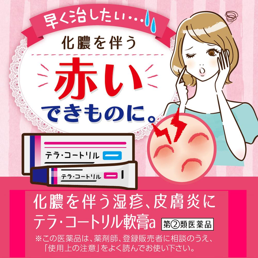 Terra Cortil Ointment A 6G