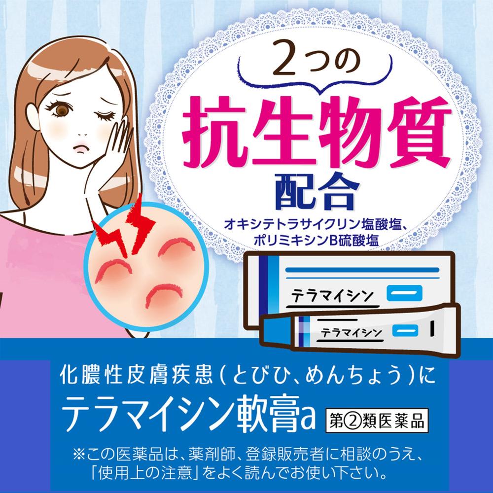 Teramycin Ointment A 6g