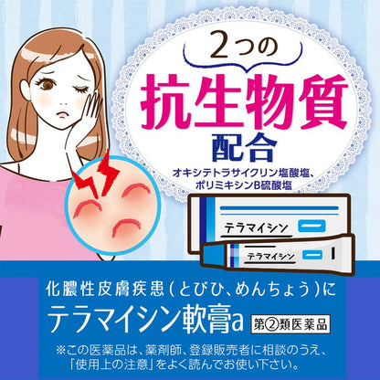 Teramycin Ointment A 6g