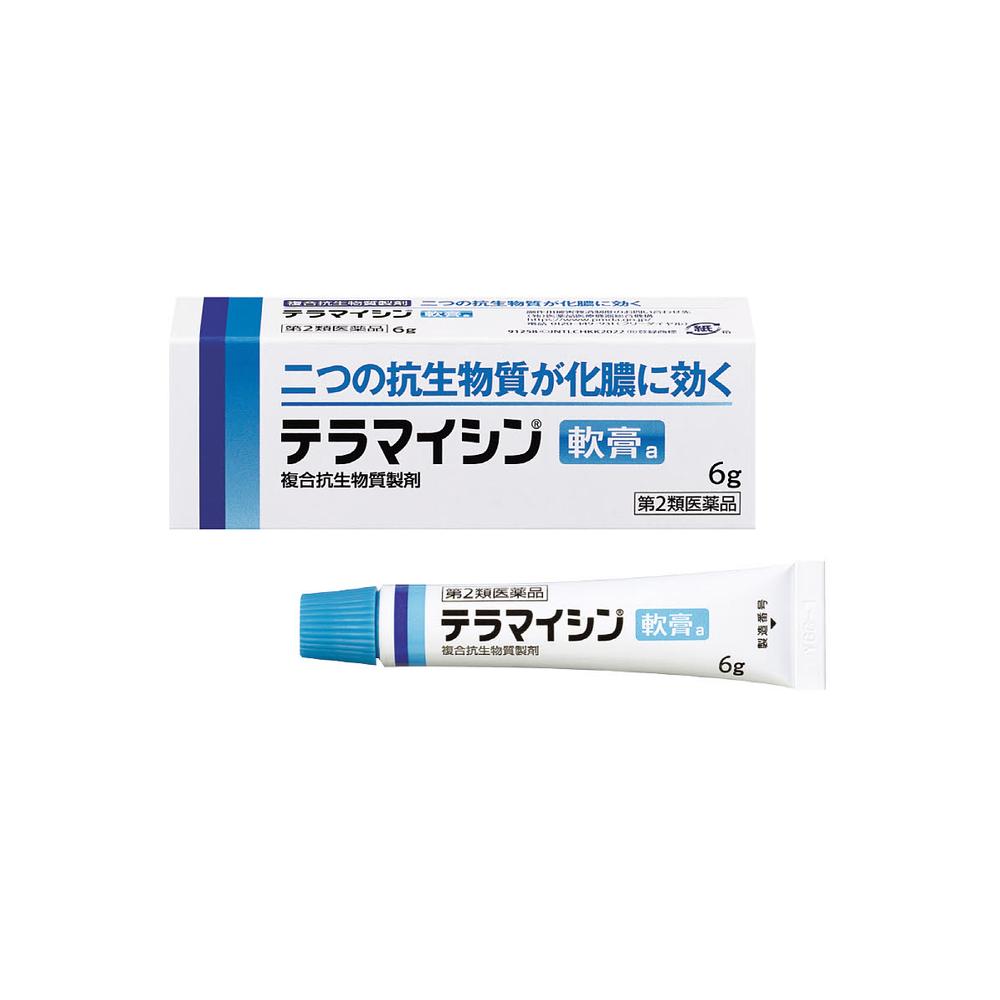 Teramycin Ointment A 6g