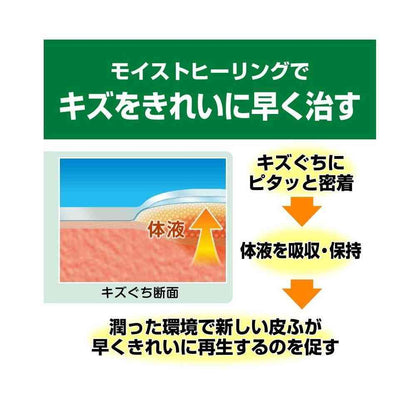 Nichiban Careleave Healing Power CN12M M-12 Sheets