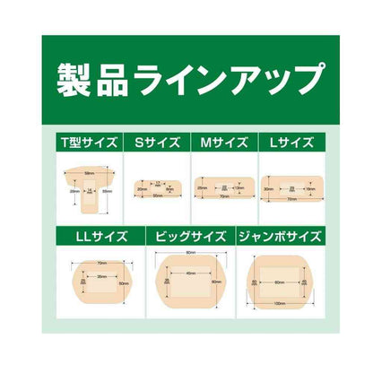 Nichiban Careleave Healing Power CN12M M-12 Sheets