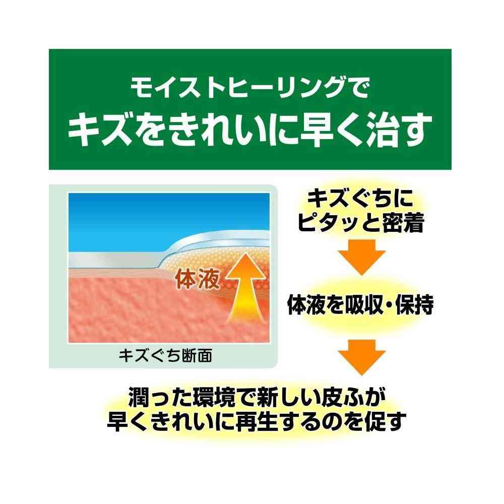 Nichiban Care Leave Healing Power CN9L L (9 Pieces)