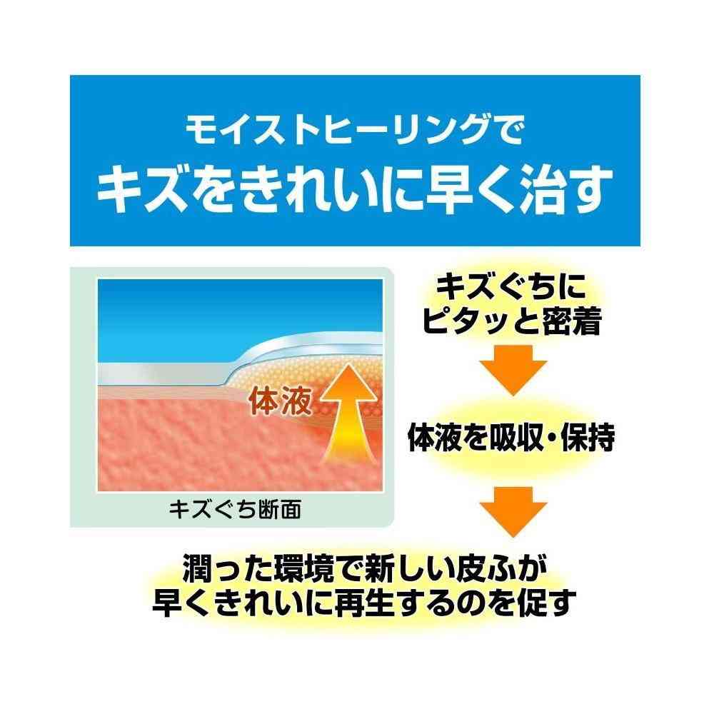 [Medical Device] Nippon Tape Care Leave Healing Power Waterproof Type CNB5B Big Size, 5 Sheets