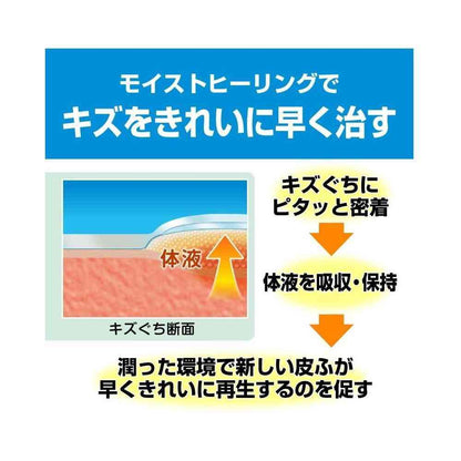 [Medical Device] Nippon Tape Care Leave Healing Power Waterproof Type CNB5B Big Size, 5 Sheets