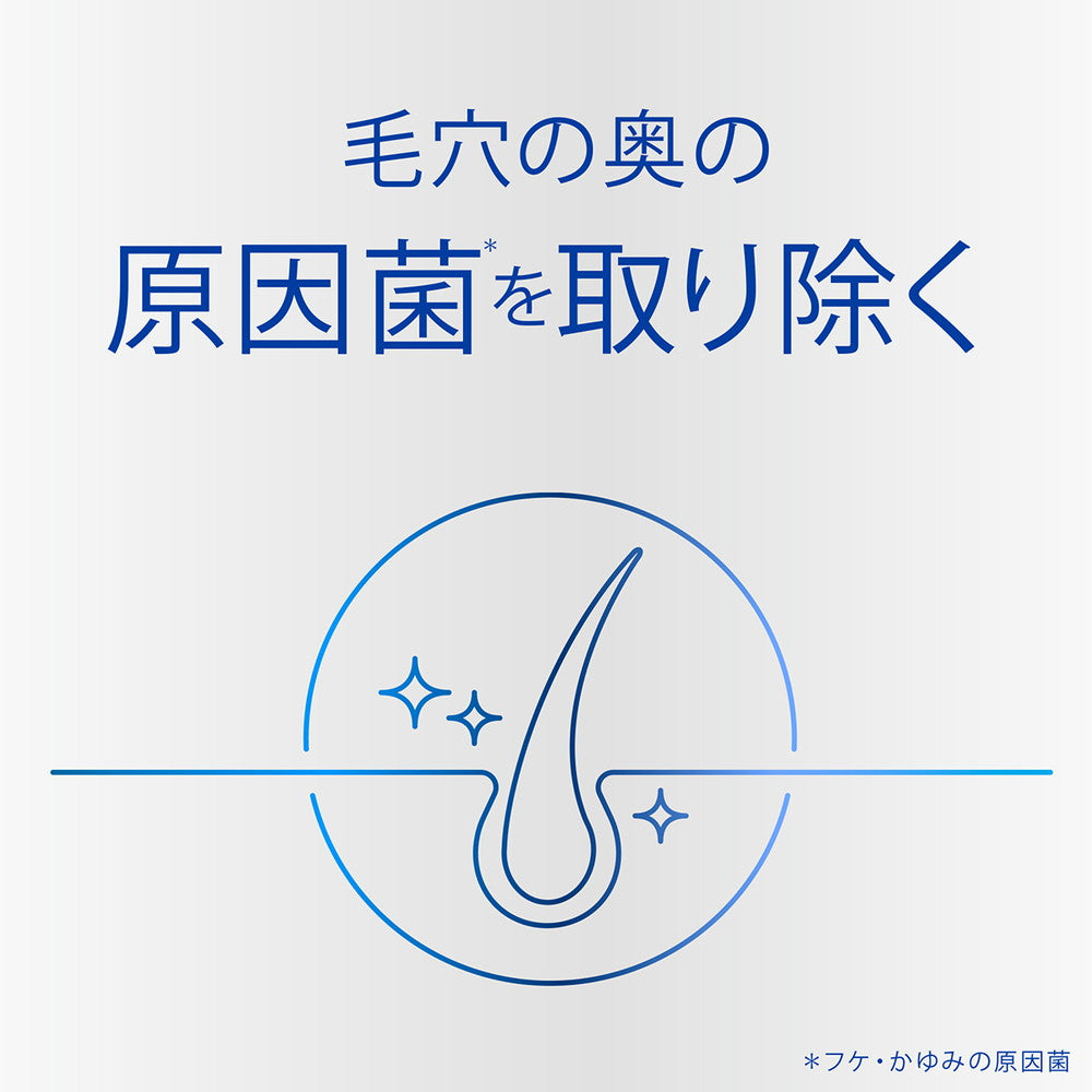 P&G h&s Scalp Dry Scalp Shampoo Refill 300ml