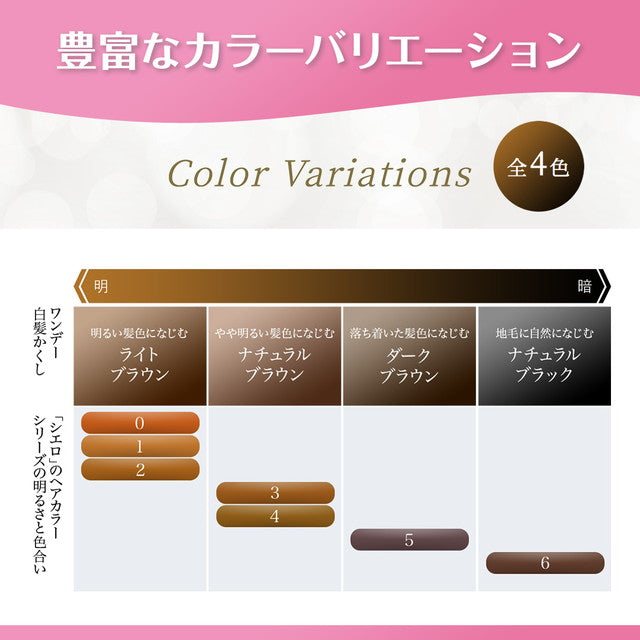 Cielo One-Day Gray Hair Concealer Dark Brown 9ml