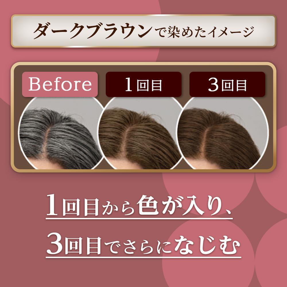 Hoyu Cielo Color Treatment Full Application Natural Brown 230g