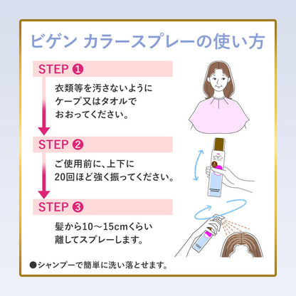 Hoyu Bigen Color Spray 4 Light Brown 82g