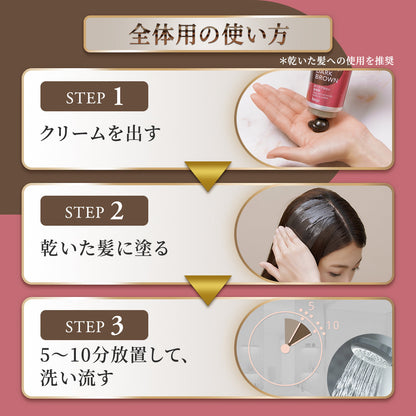 Cielo Color Treatment for Retouch Ash Black 140g