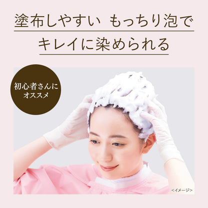 Beauty Lab Whip Hair Color Lagoon Ash 40ml + 80ml/5ml