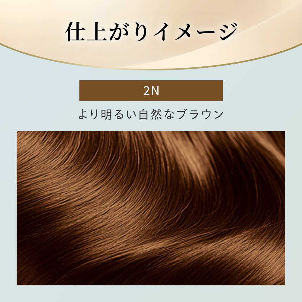 [Quasi-Drug] Hoyu Bigen Repeat Color 2N Lighter Natural Brown 1 Agent 40g + 2 Agent 40g