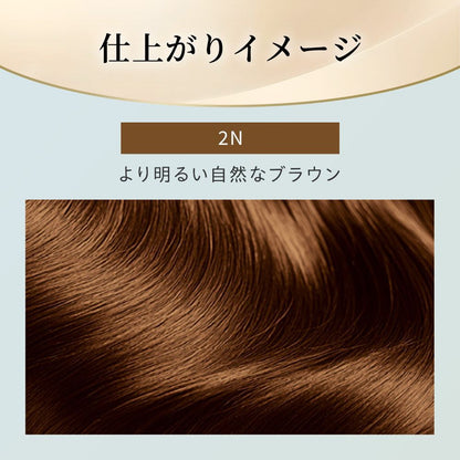 [Quasi-Drug] Hoyu Bigen Repeat Color 2N Lighter Natural Brown 1 Agent 40g + 2 Agent 40g