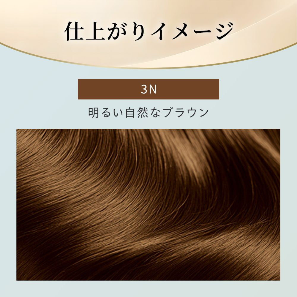 [Quasi-Drug] Hoyu Bigen Repeat Color 3N Bright Natural Brown 1 Agent 40g + 2 Agent 40g