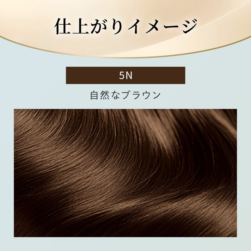 [Quasi-Drug] Hoyu Bigen Repeat Color 5N Natural Brown 1 Agent 40g + 2 Agent 40g