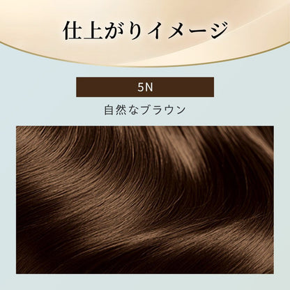 [Quasi-Drug] Hoyu Bigen Repeat Color 5N Natural Brown 1 Agent 40g + 2 Agent 40g