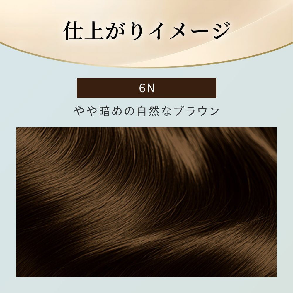 [Quasi-Drug] Hoyu Bigen Repeat Color 6N Dark Natural Brown 1 Agent 40g + 2 Agent 40g