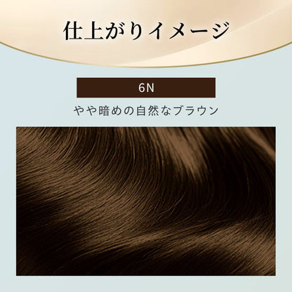 [Quasi-Drug] Hoyu Bigen Repeat Color 6N Dark Natural Brown 1 Agent 40g + 2 Agent 40g
